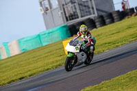 PJ-Motorsport-2019;anglesey-no-limits-trackday;anglesey-photographs;anglesey-trackday-photographs;enduro-digital-images;event-digital-images;eventdigitalimages;no-limits-trackdays;peter-wileman-photography;racing-digital-images;trac-mon;trackday-digital-images;trackday-photos;ty-croes